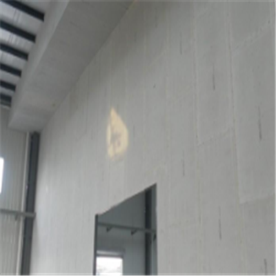 盐边宁波ALC板|EPS加气板隔墙与混凝土整浇联接的实验研讨